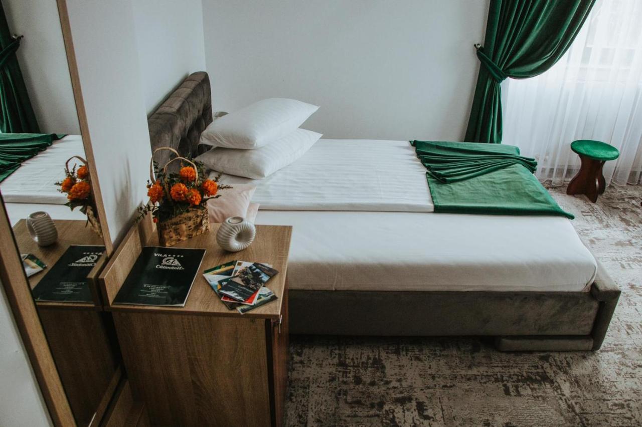 Hotel Vila Calimanel Vatra Dornei Exteriér fotografie